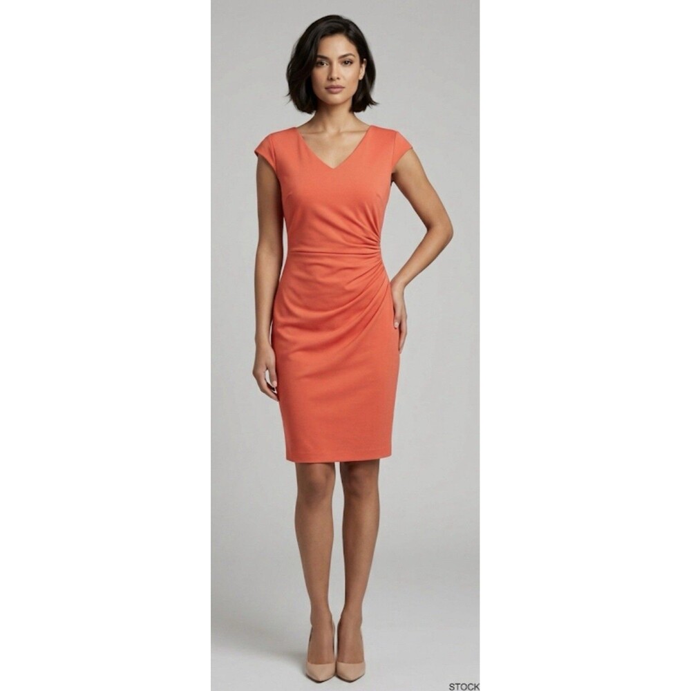 Tiger Of Sweden Women’s  Coral  Sheath Minimalist Knee Length Dress Sz 6